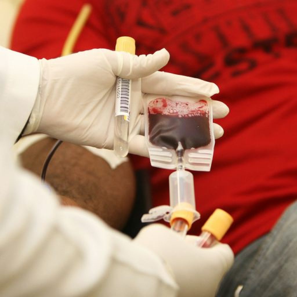 Pessoas Com Doença Auto Imune Pode Doar Sangue